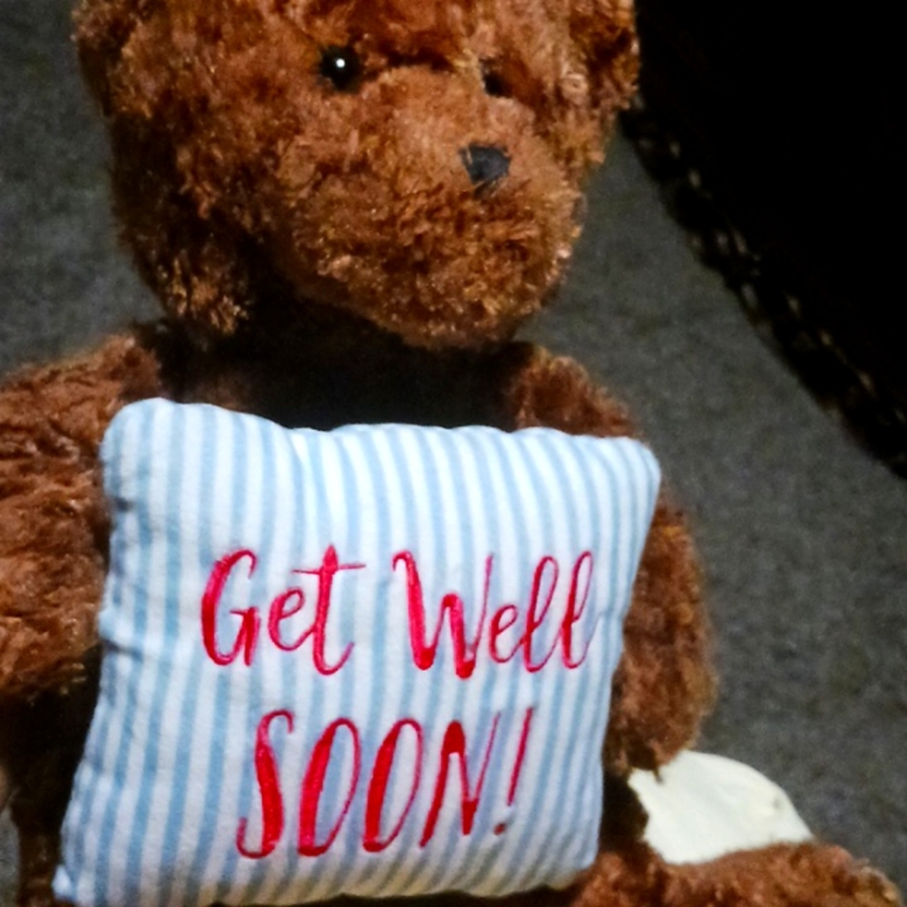 Teddy bear
